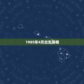 1985年4月出生属相，1985年4月9号出生的属牛人什么命