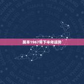 属羊1967年下半年运势，91年属羊人2022年运势