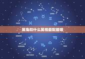 属兔和什么属相最配婚姻，属兔人和哪个属相结婚更好