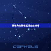 属相兔和属相鼠适合结婚吗，属兔的和属鼠的可以结婚吗