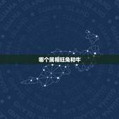 哪个属相旺兔和牛，男属牛和女属兔合不合