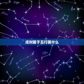 戌时属于五行属什么，戌时属于什么生肖
