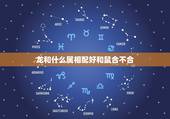 龙和什么属相配好和鼠合不合，属龙和什么属相相配