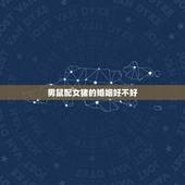 男鼠配女猪的婚姻好不好，女猪男鼠 属相相配吗？