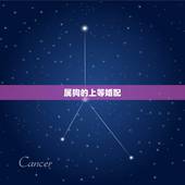 属狗的上等婚配，生肖龙的上上等婚配