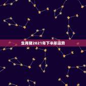 生肖猪2021年下半年运势，1983年属猪女2021年下半年运势