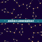 属龙的生什么属相的宝宝旺自己，属马男和什么属相最配