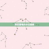 养巴西龟的水位图解，巴西龟的水位到四肢可以吗？