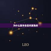 为什么属羊会喜欢属兔的，属羊男喜欢属兔女人吗
