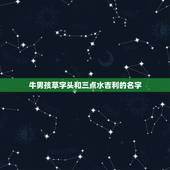 牛男孩草字头和三点水吉利的名字，牛男孩草字头和三点水吉利的名字？