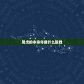 属虎的本命年戴什么属性，属虎女戴什么玉吊坠更好