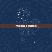 75属羊双子座男婚配，请问属羊的双子座(男)与属鼠的狮子座(女)相配么