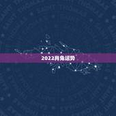 2022肖兔运势，兔子今年的运势