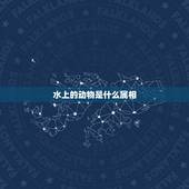 水上的动物是什么属相，水上的动物是十二生肖中的哪个
