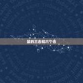 鼠的三合和六个合，三合和六个合生肖是什么意思