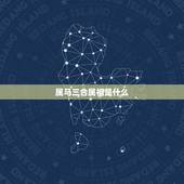 属马三合属相是什么，2022 年属马人的贵人属相