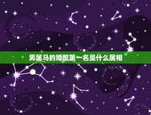 男属马的婚配第一名是什么属相，属马的男士与什么属相相配
