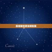 属相猪的更佳婚配属，属猪的上等婚配属相