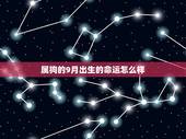 属狗的9月出生的命运怎么样，属狗人生于九月