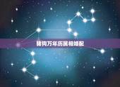 猪狗万年历属相婚配，猪狗属相在一起结婚合适吗