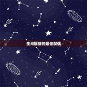 生肖属猪的最佳配偶，属猪的和什么属相最配