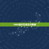 1995是什么命五行属相，1995年属猪是什么命