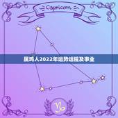 属鸡人2022年运势运程及事业，1993年属鸡人在2021年的全年运势
