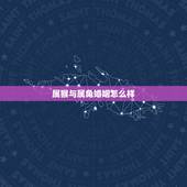 属猴与属兔婚姻怎么样，属猴与属兔合作怎么样