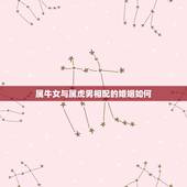 属牛女与属虎男相配的婚姻如何，女的属虎和男的属牛婚姻怎样