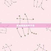 鼠和属鼠的合不合，生肖鼠和生肖鼠合不合