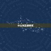 什么叫正缘桃花，正缘桃花2朵是什么意思