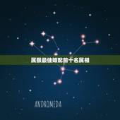 属猴最佳婚配前十名属相，属猴的和什么属相配偶好