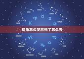 乌龟怎么突然死了怎么办，乌龟好好的怎么突然死了？如题 谢谢了