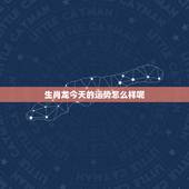 生肖龙今天的运势怎么样呢，属龙人今日运势如何