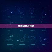 牛跟猪合不合财，老人说虎年结婚不好是真的吗