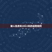 猪人在虎年2022年的运势如何 属猪人2022虎年命运