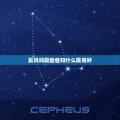 鼠妈妈鼠爸爸和什么属相好，爸爸属猪和妈妈属鼠 孩子什么属相
