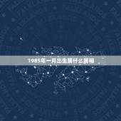 1985年一月出生属什么属相，本人是1985年1月26日出生阳历，想看
