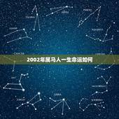 2002年属马人一生命运如何，属马：命运如何