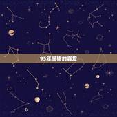 95年属猪的真爱，属猪1995年有几次婚姻