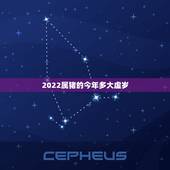2022属猪的今年多大虚岁，2022年生肖猪运势完整版