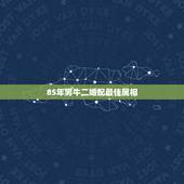 85年男牛二婚配最佳属相，85年属牛的女和什么属相配