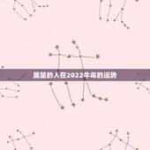 属鼠的人在2022牛年的运势，甲子84年属鼠今年运势