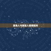 属兔人与属鼠人能婚配吗，属兔的人真的不能和属鼠的人结婚吗