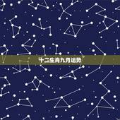 十二生肖九月运势，2010年十二生肖运势如何？