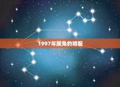 1997年属兔的婚配，属兔人婚配最宜生肖