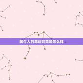 属牛人的命运究竟是怎么样，属牛人今年的财运如何