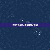 28的鸡和34的兔婚配如何，女属鸡和男属兔的相配吗