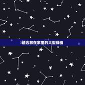 适合放在家里的大型绿植，最适合放在室内的十五种绿植