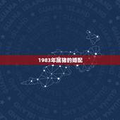 1983年属猪的婚配 92年猴女和83年猪男最终婚姻